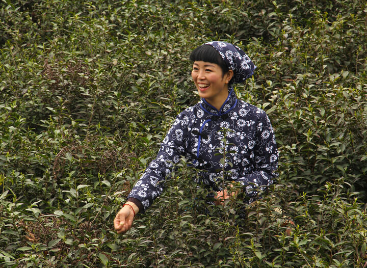 成人视频 最新6